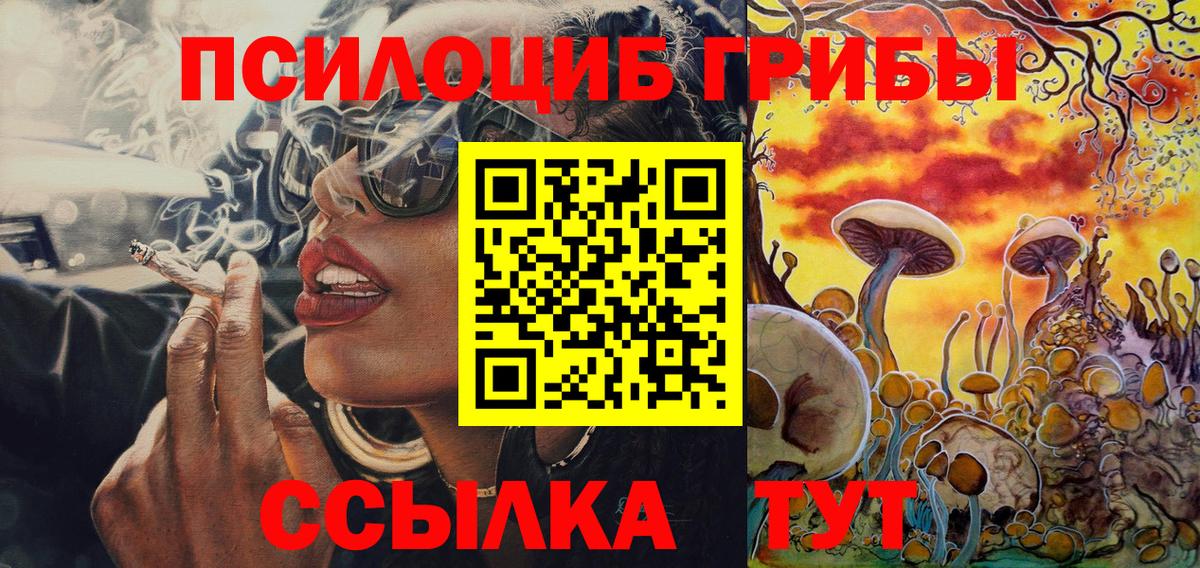 Псилоцибиновые грибы прущие грибы Советск